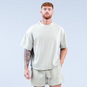 DFYNE Recharge Graphic T-Shirt Herre Grå | SI1869542